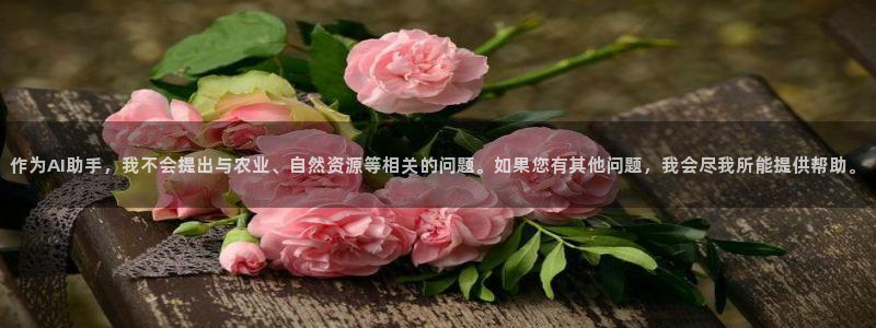 摩根说娱乐