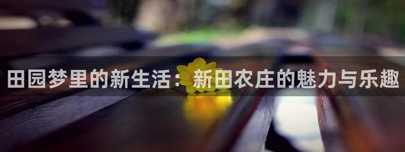 摩根国际娱乐会所电话
