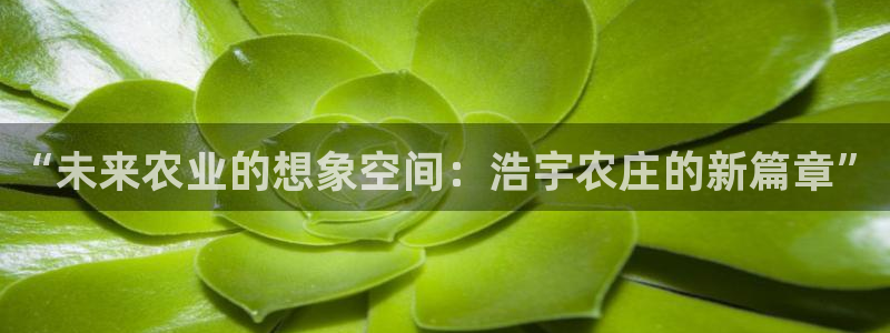 摩根娱乐宝合法吗