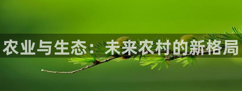 摩根娱乐宝邀请码