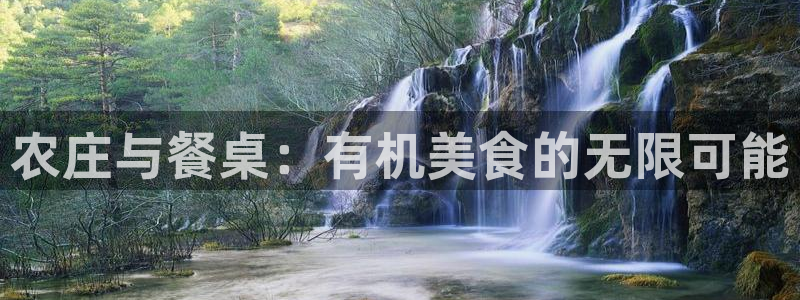 厦门摩根会娱乐