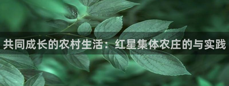 摩根娱乐宝APP下载