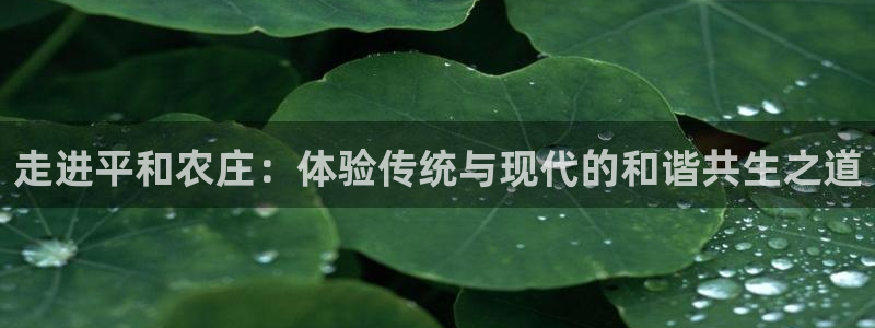 摩根娱乐宝