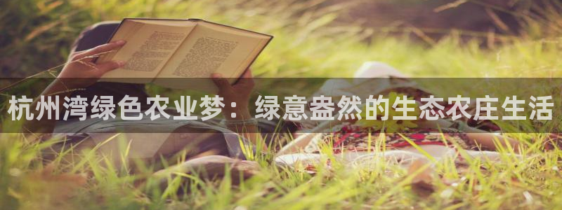 摩根克里克娱乐公司