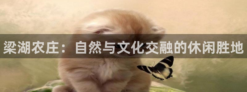 摩根娱乐和摩根国际
