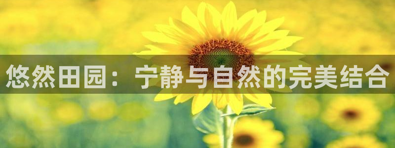 摩根娱乐是什么