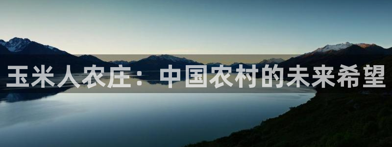 摩根娱乐宝k线图