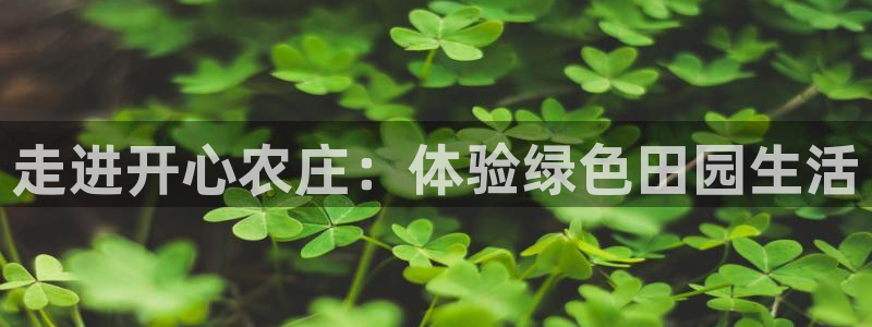 摩根娱乐宝口碑