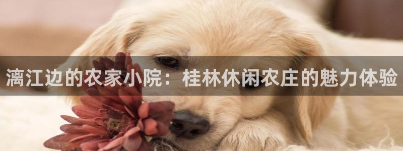 摩根国际商务娱乐会所