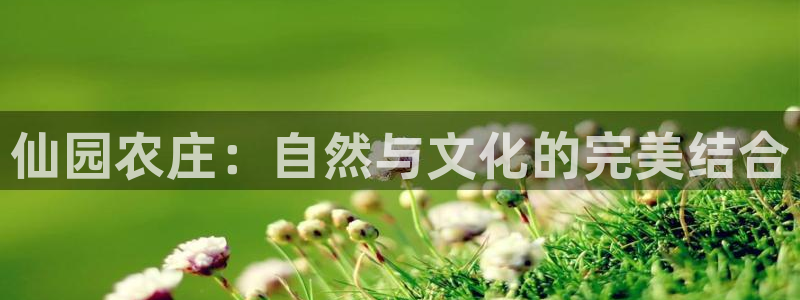 义乌摩根娱乐