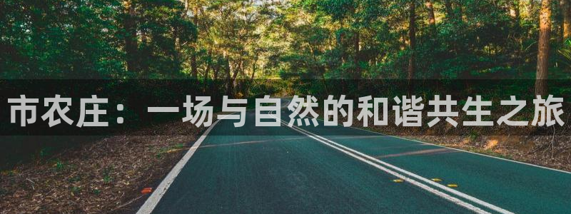摩根娱乐主管