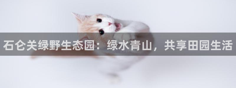 摩根娱乐宝账户