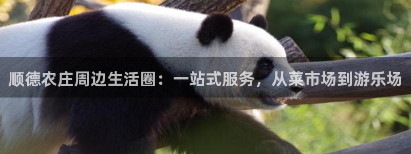 义乌摩根娱乐会所招聘