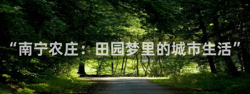 摩根国际娱乐宝官网