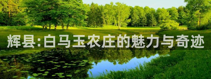 摩根娱乐宝是什么东西