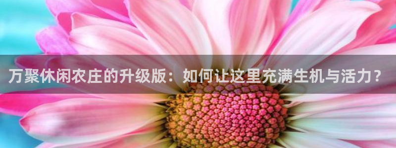 摩根娱乐 总s管50015