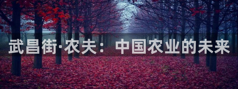 摩根娱乐公司