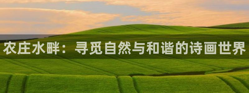摩根娱乐宝创始人