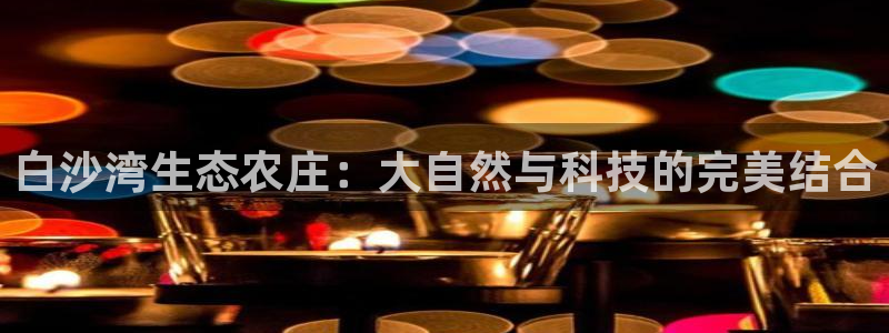 义务摩根娱乐会所