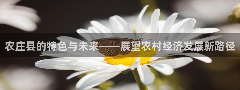 深圳摩根时代娱乐公司