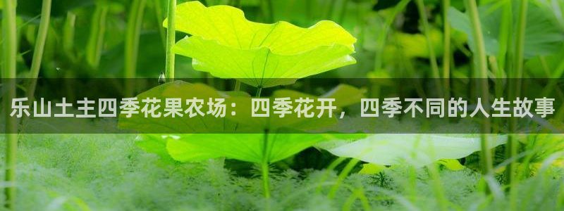 摩根娱乐宝是真的吗