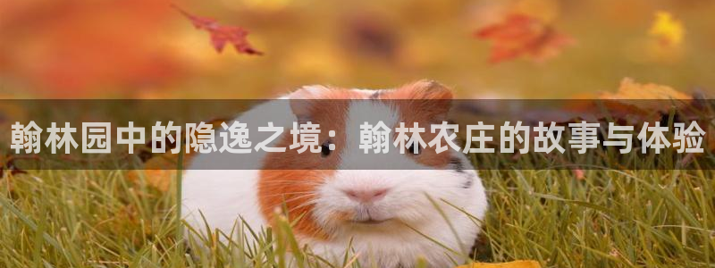摩根娱乐宝代理