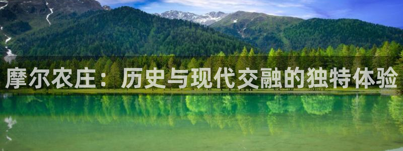 摩根娱乐百家号