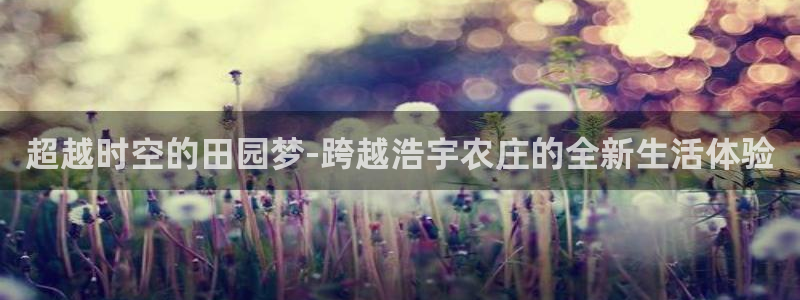 摩根娱乐询问市场总监86738k