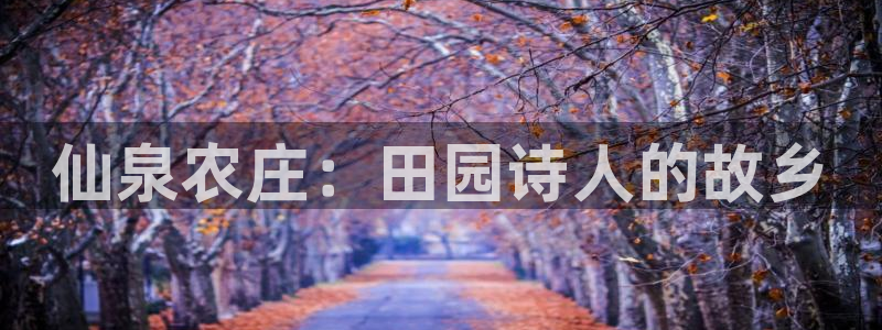 泉州摩根会娱乐有限责任公司管理