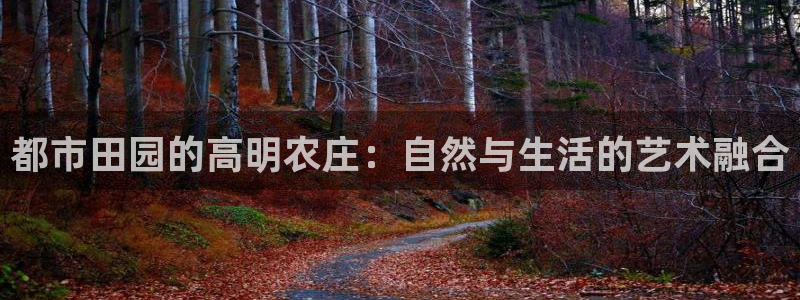 摩根娱乐宝使用操作