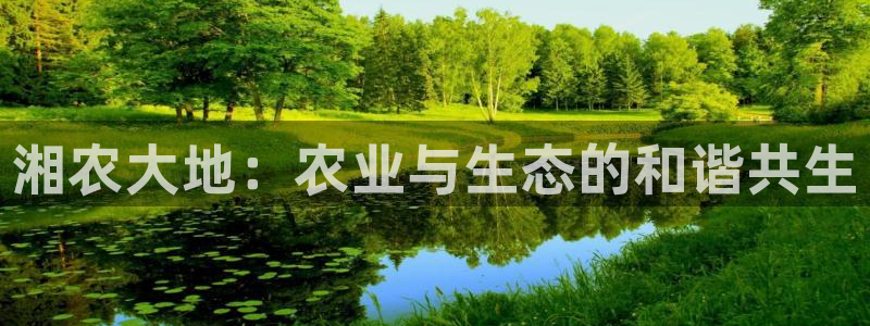 摩根娱乐开户 总s管50015