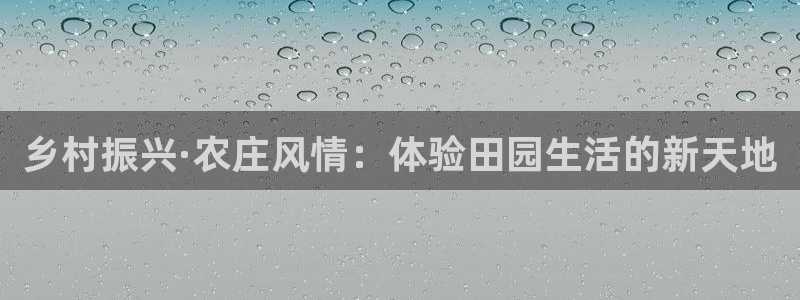 摩根娱乐挂机项目有哪些