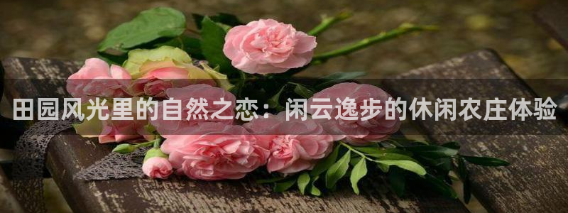 摩根娱乐宝被骗怎么办