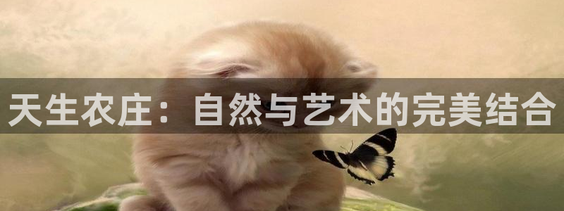 义乌摩根娱乐阿峰