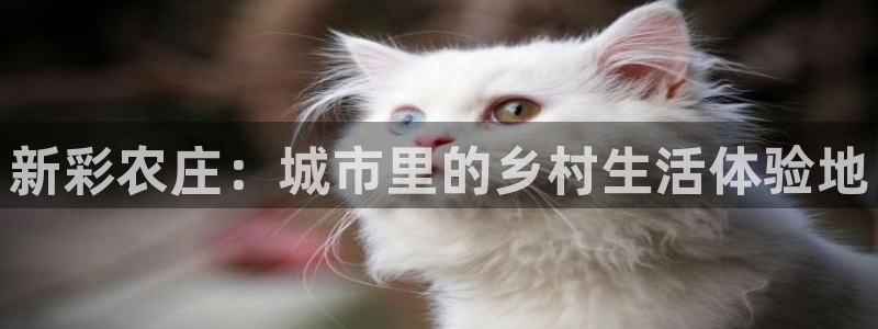 摩根娱乐垫付任务靠谱吗