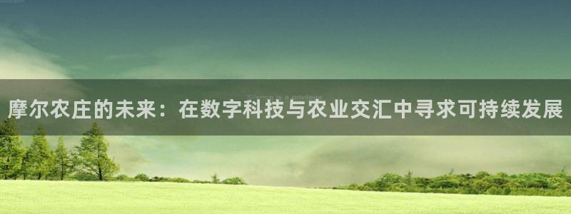 摩根国际亚太娱乐宝