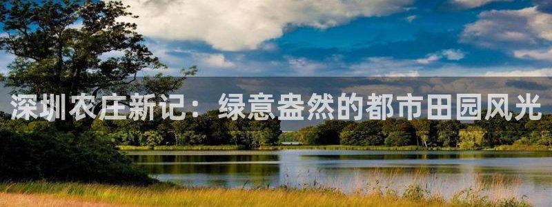 白宫摩根娱乐场所