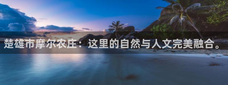 摩根娱乐宝与