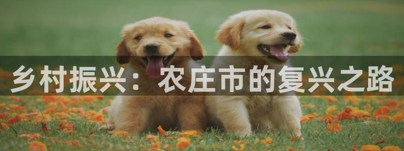 摩根娱乐套路