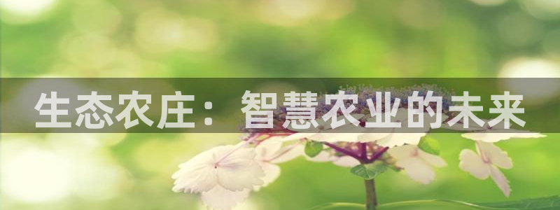 摩根娱乐宝下载