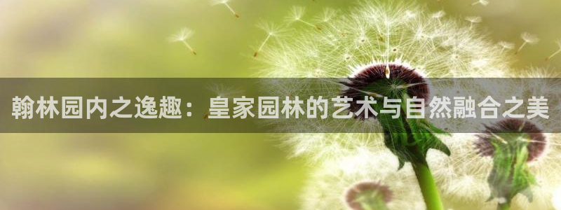 义乌摩根娱乐
