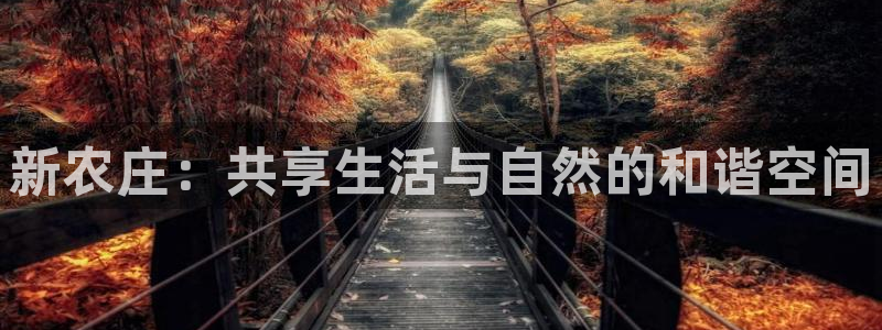 摩根娱乐注册m总管
