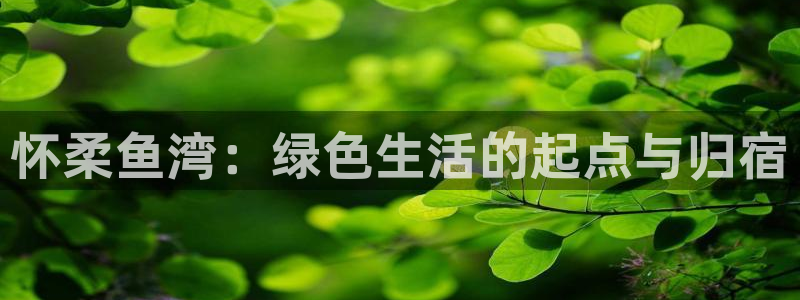 摩根娱乐宝下载