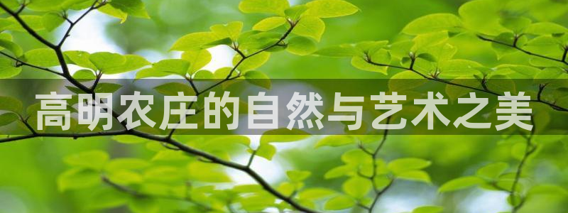 漳州摩根会娱乐