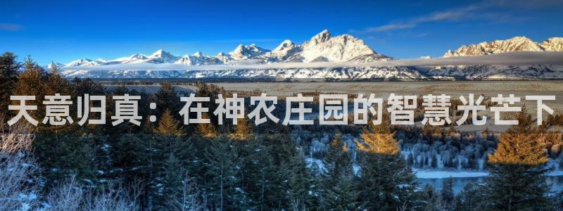 摩根 娱乐宝诈骗