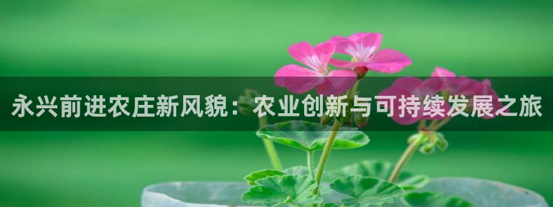 摩根国际娱乐宝在哪里