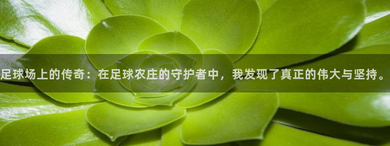 摩根娱乐宝如何提现