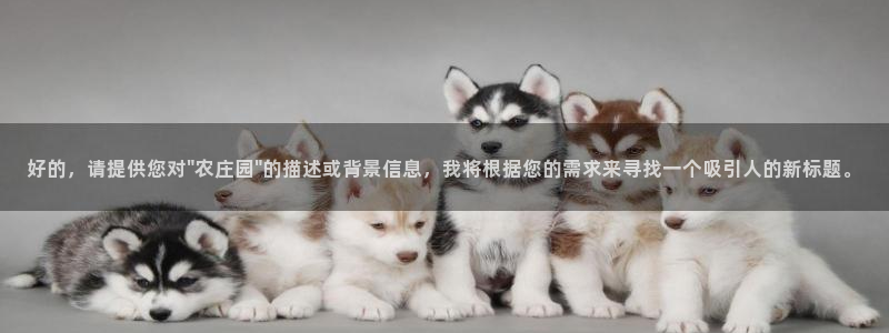 摩根国际商务娱乐会所