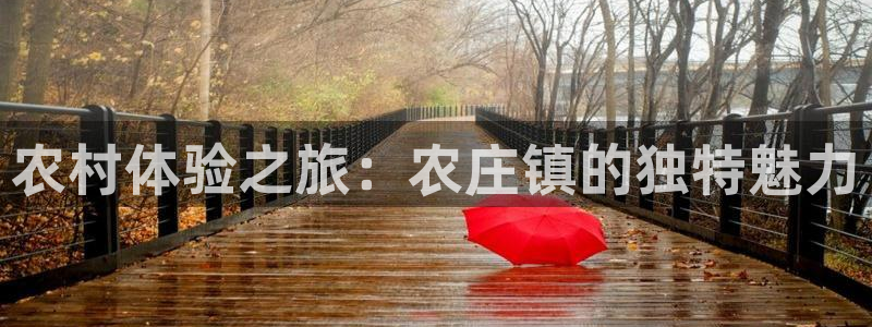 娱乐解说摩根