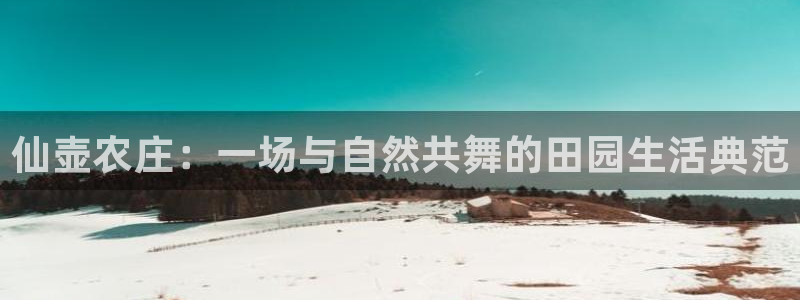 摩根娱乐50186找